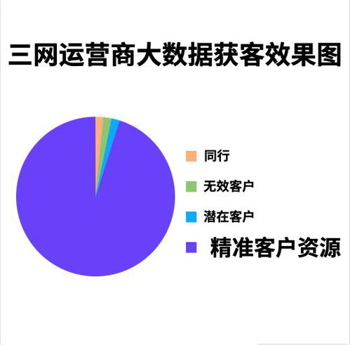 三網(wǎng)運營商大數(shù)據(jù)技術(shù)推廣服務(wù) 驅(qū)動企業(yè)數(shù)字化轉(zhuǎn)型新引擎